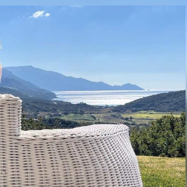 Villa Dama Luxury 阿尔盖罗 外观 照片